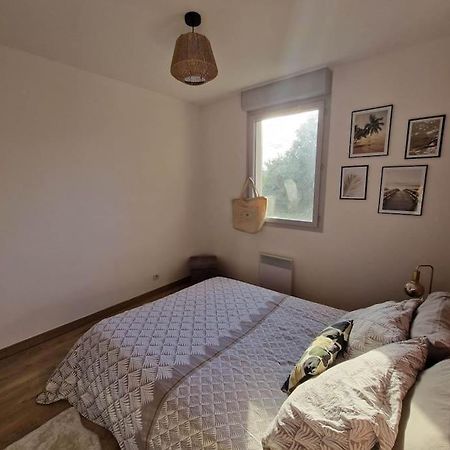 Appartement Cosy Oloron, Aux Pieds Des Pyrenees Et De L'Atlantique! Ngoại thất bức ảnh