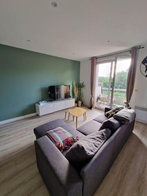 Appartement Cosy Oloron, Aux Pieds Des Pyrenees Et De L'Atlantique! Ngoại thất bức ảnh